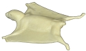 ES021
